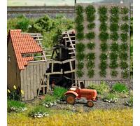 3552 grass tufts with stones summer