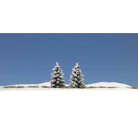 DISC Snow Covered Spruce 2/