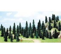 Ho 50 Trees