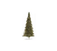 20 Pine Trees