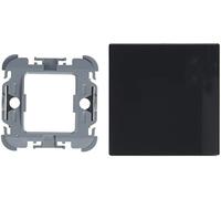 Busch-Jaeger 1786-81 Rocker Wall Plate