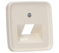 Busch-Jaeger 1803-212 Central Switch D-212 Wall Plate