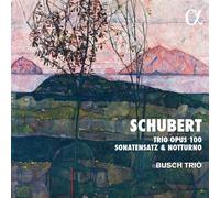 Busch Trio - Schubert: Trio Opus 100, Sonatensatz & Notturno