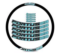 BUSEB Bicycle Wheel Stickers F-O-R-T-U-S 23 Mountain Wheel Rim Stickers MTB Bicycle Rims Decals Wheelset Stickers Bicycle Decals (Color : 29er dark grey)