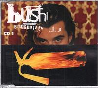 Bush - Bone Driven