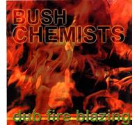Bush Chemists - Dub Fire Blazing