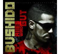 Bushido - Alles wird gut