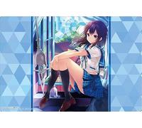 Bushiroad Rubber Mat Collection V2 Vol.1061 Dengeki Bunko Strike The Blood "Princess Holy Yuku"