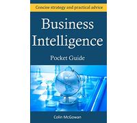Business Intelligence Pocket Guide: A Concise Business Intelligence Strategy For Decision Support and Process Improvement