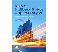 Business Intelligence Strategy and Big Data Analytics: A General Management Perspective