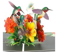 Businey HummingBird with Mixed Flowers Birthday Cards for Women, 3D Pop Up Greeting Cards with Envelope for Mum Grandma Wife Daughter
