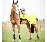 Busse Shine Riding Blanket 100 g, Colour: Yellow (Navy), Size: 155