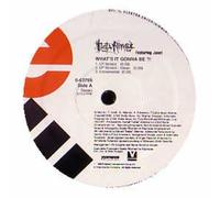 Busta Rhymes - Whats It Gonna Be [12" VINYL]
