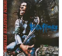Busta Rhymes - When Disaster Strikes... (Silver Coloured) (Reissue) (Limited Edition) (2 LP)