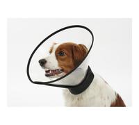 Buster Complete Collar for Dogs - 10cm