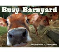 Busy Barnyard (Busy Books) (A Busy Book)