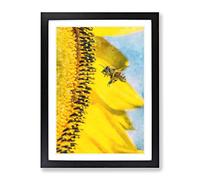 Busy Bee & Yellow Flower Painting Modern Framed Wall Art Print, Ready to Hang Picture for Living Room Bedroom Home Office Décor, Black A2 (64 x 46 cm)
