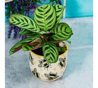 Busy Bees Small Planter