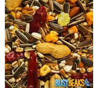 BusyBeaks African Grey Parrot Food | High Energy & Protein NO1 Mix | Nutritious Wild Garden Bird Feed | Additive Free Cleaned to 99.9% Purity | Provides Both Mental and Physical Stimulation (2.5kg)