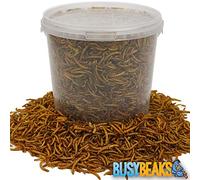 BusyBeaks Dried Mealworms | Premium Garden Wild Bird Food Mix Balanced Formula | Protein-Rich, Great Source of Energy | Contains Beneficial Mixed Vitamins | Large Variety (1L)