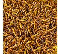 BusyBeaks Dried Mealworms | Premium Garden Wild Bird Food Mix Balanced Formula | Protein-Rich, Great Source of Energy | Contains Beneficial Mixed Vitamins | Large Variety (12.5KG)