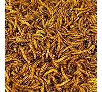 BusyBeaks Dried Mealworms | Premium Garden Wild Bird Food Mix Balanced Formula | Protein-Rich, Great Source of Energy | Contains Beneficial Mixed Vitamins | Large Variety (1kg)