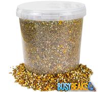 BusyBeaks Four Seasons Pigeon Corn | Premium Grade Natural Food Mix | Rich in Nutritious Oils Vitamins and Minerals | Perfect Year-Round Wild Bird Seed Feed | High in Protein Energy & Fibre (1L Tub)