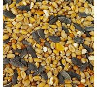 BusyBeaks Four Seasons Wild Bird Seed Mix (12.5KG) - All Year-Round Bird Food with Black Sunflower, Wheat, Small Seeds & Peanuts | High-Energy Feed for Small Garden Birds - 100% Natural Ingredients