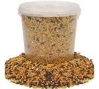 BusyBeaks Four Seasons Wild Bird Seed Mix (1L) - All Year-Round Bird Food with Black Sunflower, Wheat, Small Seeds & Peanuts | High-Energy Feed for Small Garden Birds - 100% Natural Ingredients