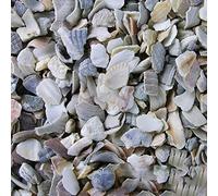 BusyBeaks Hen Sized Oyster Shell | Premium High in Calcium Poultry Grit | Enhances Strong Bones Digestion System and Quality of Eggs | Chicken Hen Animal Wildlife Mixture | Natural Food Mix (20kg)