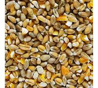 BusyBeaks Mixed Poultry Corn | Premium Quality Natural Seed Feed Mix | Rich in Vitamins and Calcium | Great Chicken Duck Geese Food | Helps Develop Strong Beaks Tough Bones & Healthy Feathers (25kg)