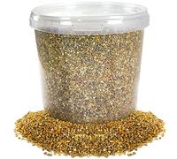 BusyBeaks Mixed Poultry Corn | Premium Quality Natural Seed Feed Mixt | Rich in Vitamins and Calcium | Chicken Duck Geese Food | Helps Develop Strong Beaks Tough Bones & Healthy Feathers (2.5L Tub)