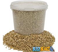 BusyBeaks Sunflower Hearts - Kernels Bird Seed Bakery Grade Food (2.5L)