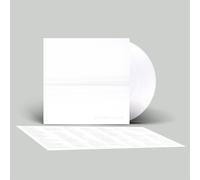 But Here We Are by Foo Fighters (Vinyl Record 2023)