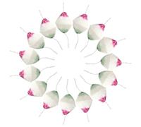 BUTIFULSIC 15pcs Camping Lantern Mantles for Outdoor Gas Lamps and Kerosene Lanterns, White Rayon Mesh Netting Tie-on Covers, Compact Design for Emergency Use and Quick Replacement