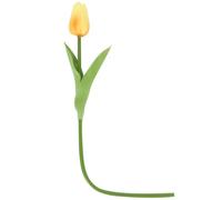 BUTIFULSIC Artificial Tulips Real Touch Flowers Faux Tulip Flowers with Elegant Shape and High Degree of Simulation for Wedding Party Balcony Decoration in Orange Colour