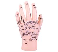 BUTIFULSIC Model Accurate Training Hand Acupuncture and Reflexology for Massage with Display Realistic Pvc Hand Massage Simulation Model Easy to Clean for Beginners