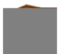 Buttercup Farm 6 X 4 Feet Budget Pent 9mm Shed - Solid Wood/softwood/pine - L175 X W115 X H204.1 Cm - Burnt Orange