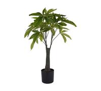Buttercup Farm Faux Pachira Money Plant - Polyethylene Plastic - L40 X W40 X H65 Cm - Green