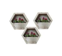 Buttercup Farm Hanging Wooden Hexagon Wall Planter (Set Of 3) - L16 X W34 X H30 Cm - Fully Assembled
