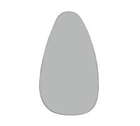 Buttercup Farm Organic Oversized Metal Framed Mirror - Glass/iron - L6 X W86 X H151 Cm - Oak