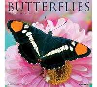 Butterflies 2026 12 X 12 Wall Calendar