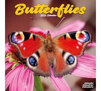 Butterflies 2026 Calendar | Square Wall Calendar | Animal Gift | Plastic Free Packaging | by Avonside Publishing