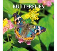 Butterflies - 2026 Square Wall Calendar - by Red Robin Publishing