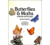 Butterflies and Moths in Britain and Europe