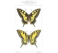 Butterflies Black and Yellow Unframed Art Print Poster Wall Decor 12x16 inch