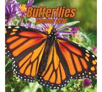 Butterflies Calendar 2026: 12 Months Organizer From January to December