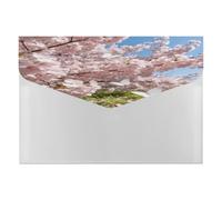 Butterflies Chase The Spring Light File Folder Expanding Accordion File Organizer with 6 Pockets Portable Paper Bill Receipt Organizer Document Organizer Expanding File Folder for Home Office Supplies