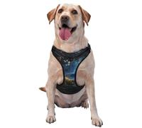 Butterflies in Fairy Tales Large Printed pet Traction Vest - Suitable for Dog Walking, Hiking and Outdoor Adventures,