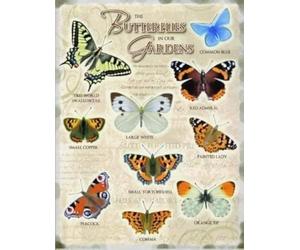 Butterflies in our Gardens including Common Blue, Large White, Red Admiral & Painted Lady. Kitchen, shed, cafe, garden centre, allotment, green house. Small Metal/Steel Wall Sign